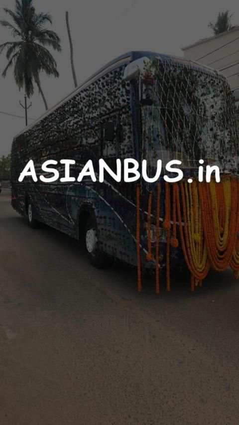 Asian Bus screenshot 5