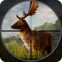 Liar pemburu rusa: game rusa shooting