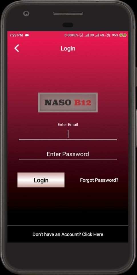 NASO B12 screenshot 6