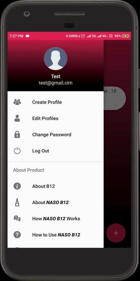 NASO B12 screenshot 3