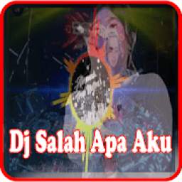 DJ Salah Apa Aku 1.1