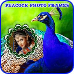 Peacock Photo Frames Free