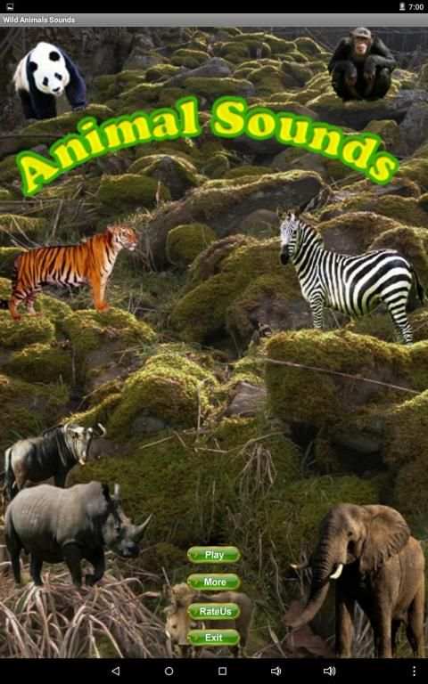 Wild Animals Sounds स्क्रीनशॉट 5