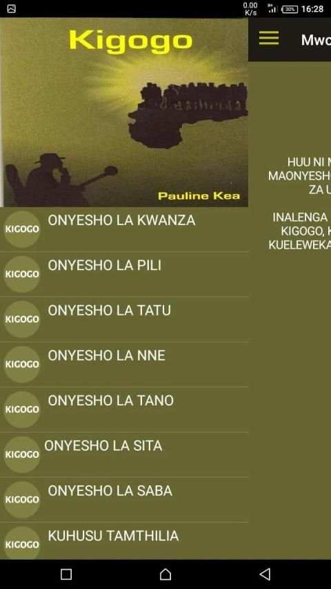 Mwongozo wa Kigogo screenshot 3