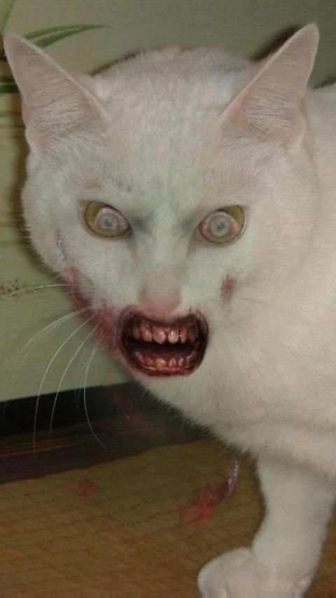 ZombieBooth screenshot 2