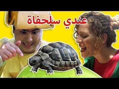 فوزي موزي وتوتي بدون نت أجمل الحلقات والمشاهد
‎ 1 تصوير الشاشة