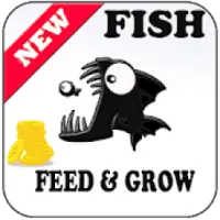 Guide For Fish Feed And Grow New