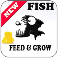Guide For Fish Feed And Grow New Guide For Fish Feed And Grow New