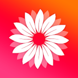 Gallery 2019 आइकन