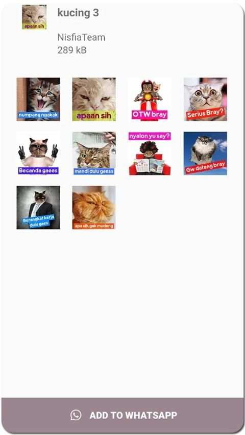 Meme Kucing Lucu Stiker WA screenshot 5