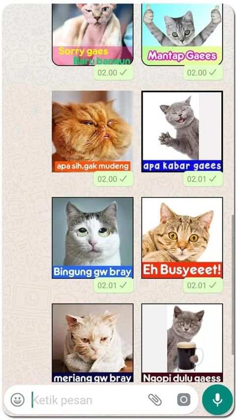 Meme Kucing Lucu Stiker WA screenshot 3