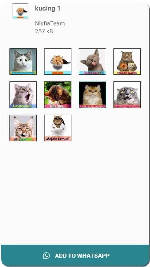 Meme Kucing Lucu Stiker WA screenshot 4