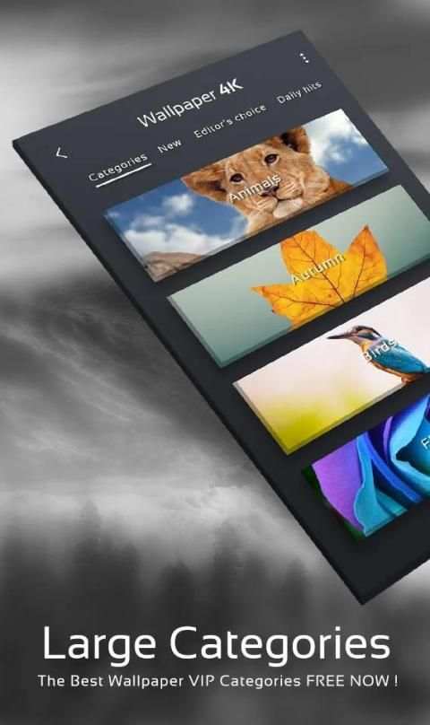 Wallpaper 4K स्क्रीनशॉट 3
