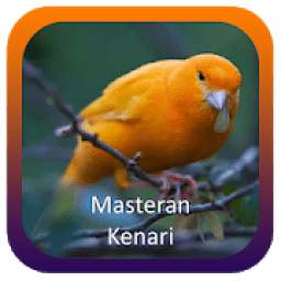 Masteran Kenari Lengkap 1.3