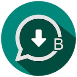 Story Saver For WhatsApp Business