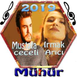 Irmak Arıcı 2019 1.2