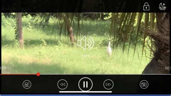Download video For Facebook स्क्रीनशॉट 2