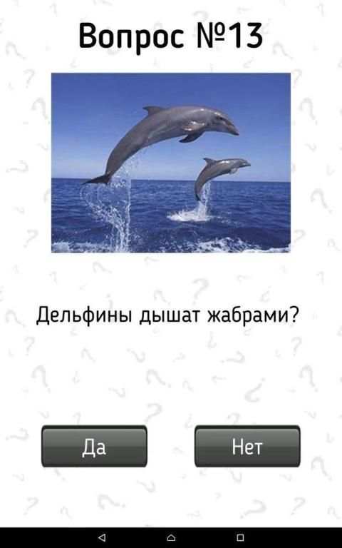 Викторина: Да или Нет. Вопросы ответы и объяснения screenshot 2
