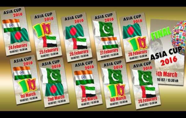 India Cricket League स्क्रीनशॉट 1