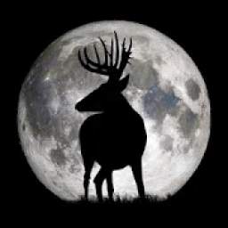 Deer Hunters MoonGuide