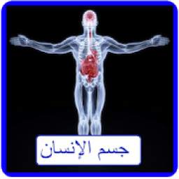 جسم الإنسان 1.3