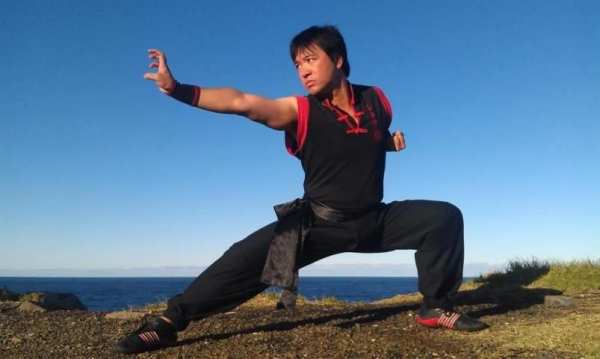 Learn Kung Fu Training 2019 screenshot 6