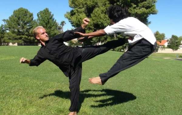 Learn Kung Fu Training 2019 screenshot 2