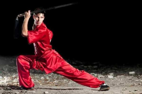 Learn Kung Fu Training 2019 screenshot 5