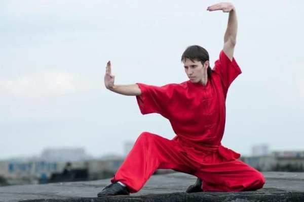 Learn Kung Fu Training 2019 screenshot 1