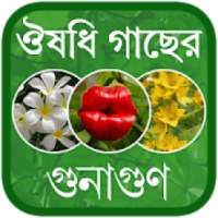 Herbal Medicine Bangla