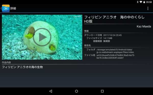 WS Player screenshot 1
