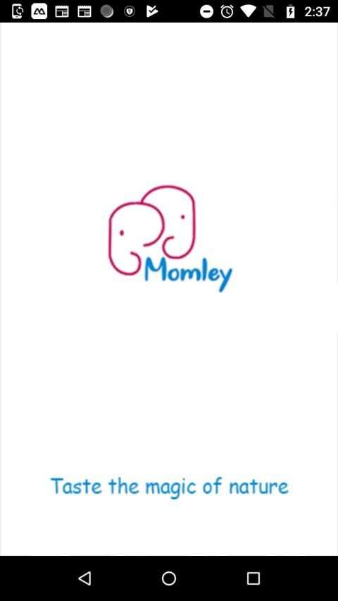 Momley स्क्रीनशॉट 7