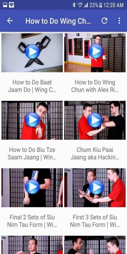 Wing Chun screenshot 2