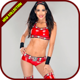 ikon Brie Bella Wallpapers HD 4K