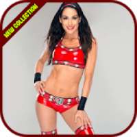 Brie Bella Wallpapers HD 4K