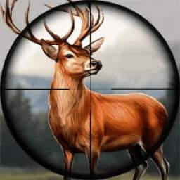 Wild Deer Hunting 2019 Game