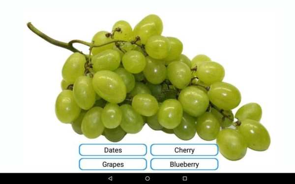 Fruits and Vegetables screenshot 7