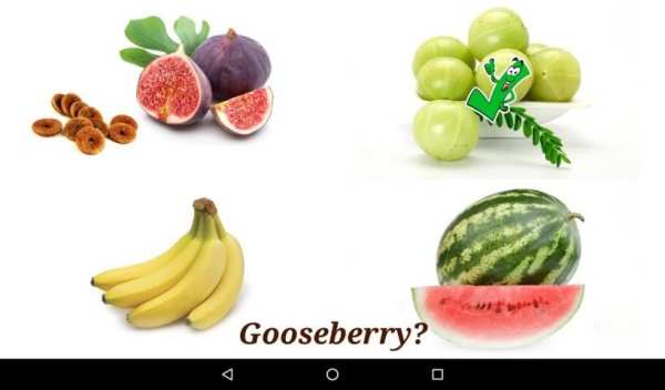 Fruits and Vegetables screenshot 3