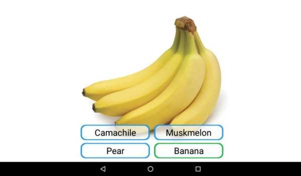 Fruits and Vegetables screenshot 2