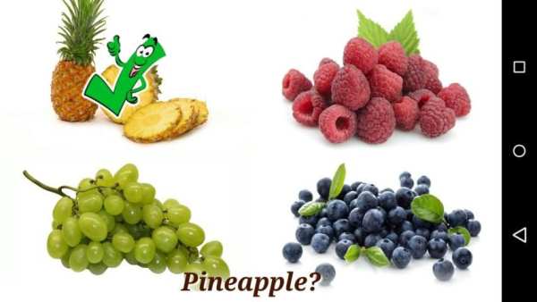 Fruits and Vegetables screenshot 14