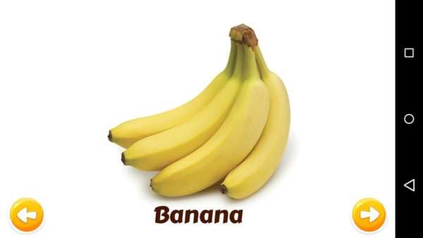 Fruits and Vegetables screenshot 15