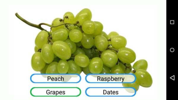 Fruits and Vegetables screenshot 13