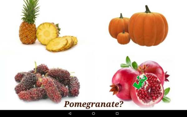 Fruits and Vegetables screenshot 8