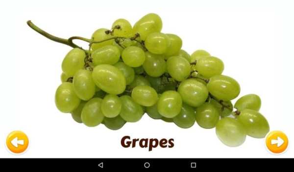 Fruits and Vegetables screenshot 4