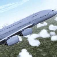 Real Airplane Driving Simulator:Flight Pro Pilot