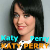 Katy Perry Songs Offline Music (all songs)