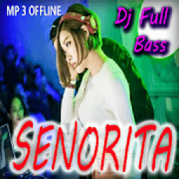 Dj Super Bass Senorita Offline Mantap icon