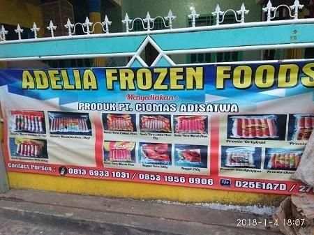 YouTube Adelia Frozzen Food screenshot 2