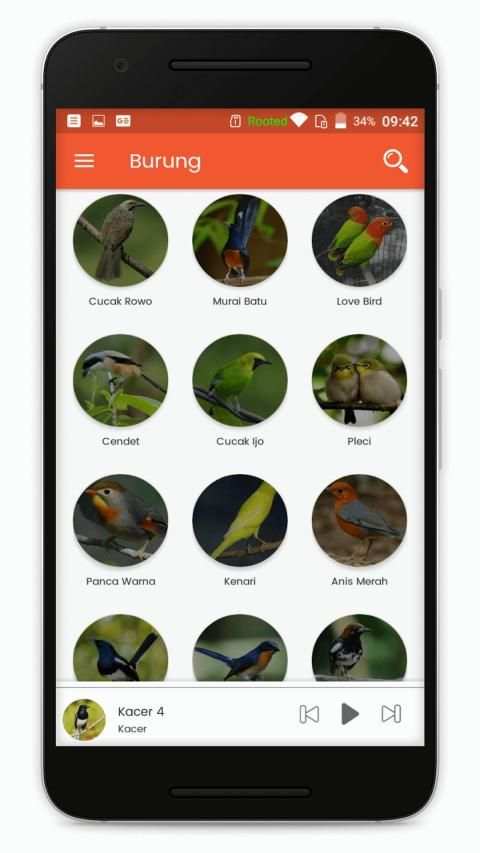 Kicau Burung Lengkap screenshot 3