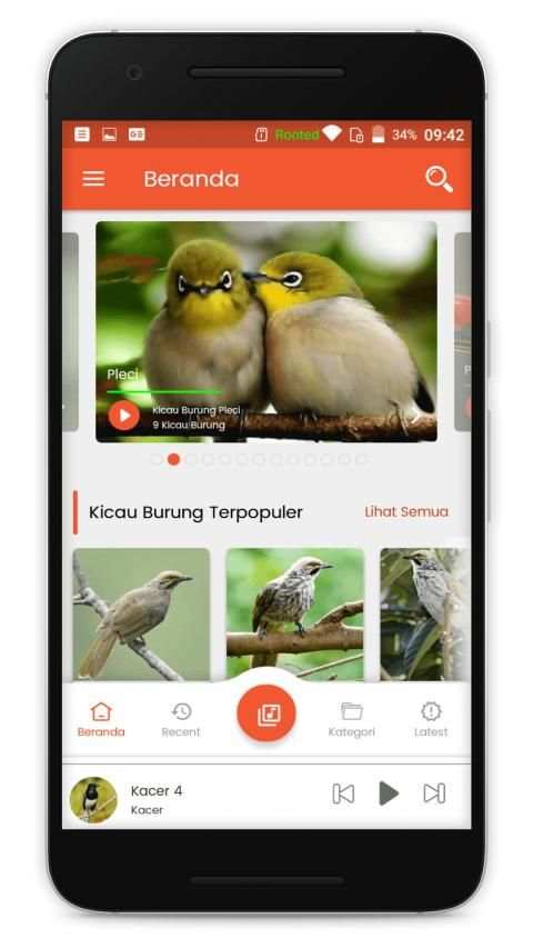 Kicau Burung Lengkap screenshot 4